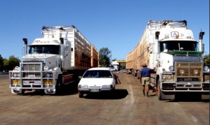 Road-trains-300x179.jpg